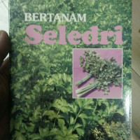 Image of BERTANAM SELEDRI